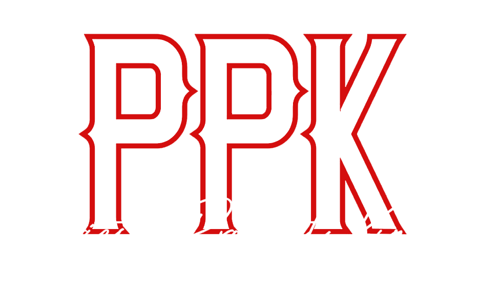 Coaching - PPK Global